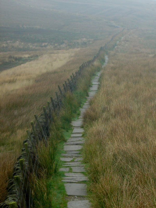 Misty path