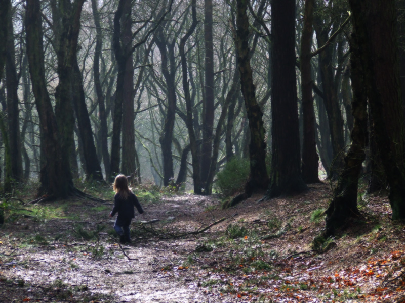Walking through the woods