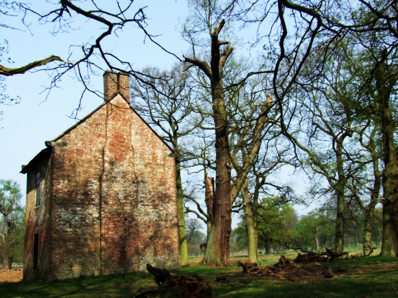 Trees / building at Dunham Massey