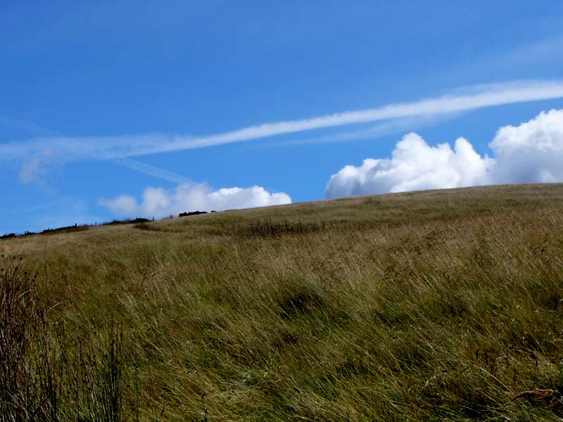 Clouds / grass