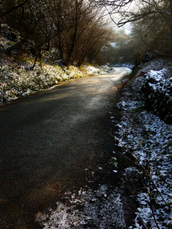 Snowy lane