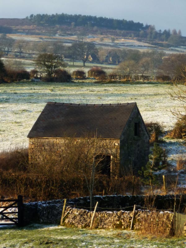Barn