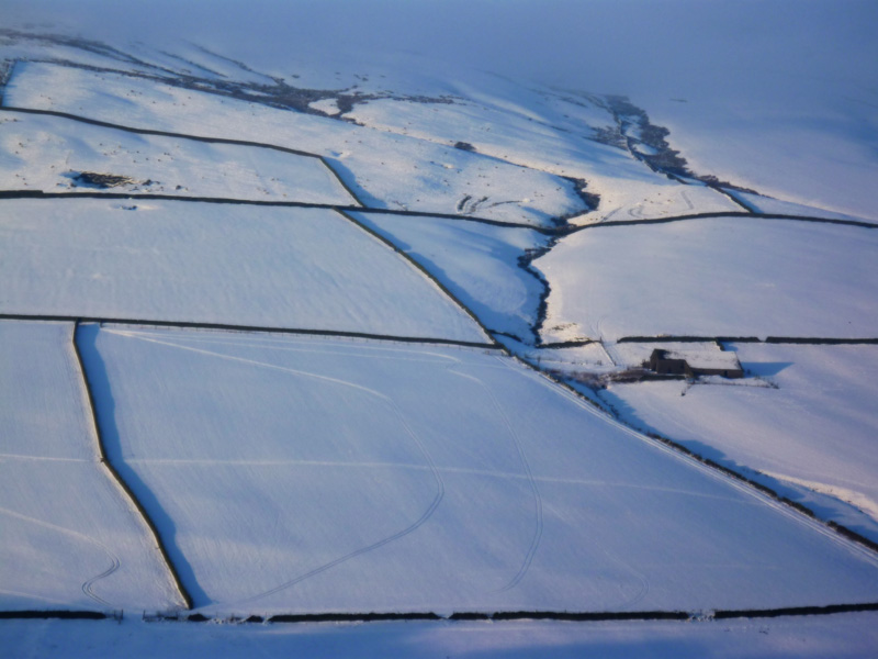 Snowy fields