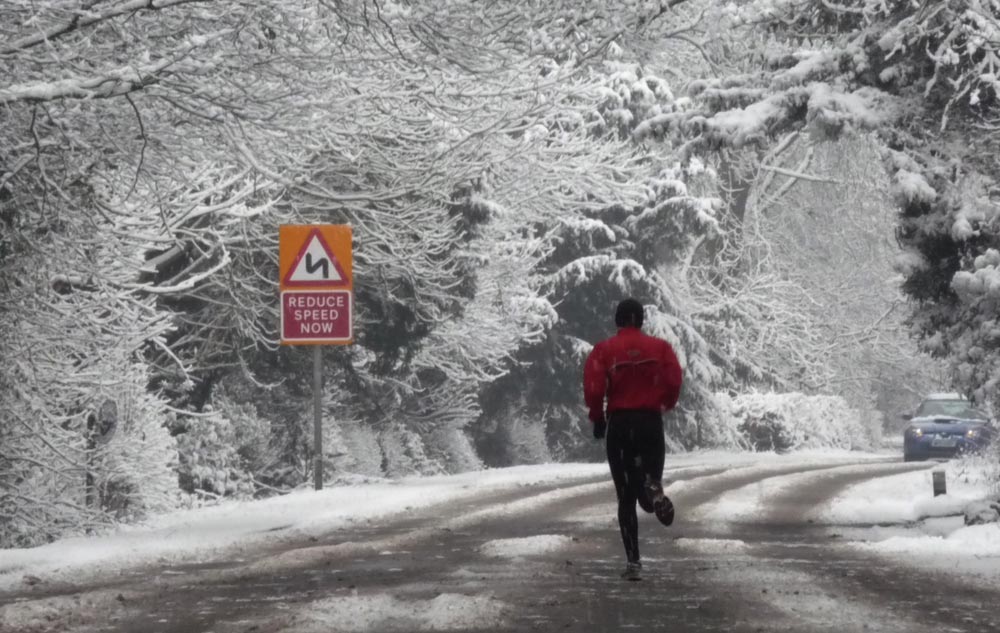 Bostock Woods in the snow