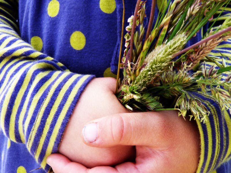 Grass / hands