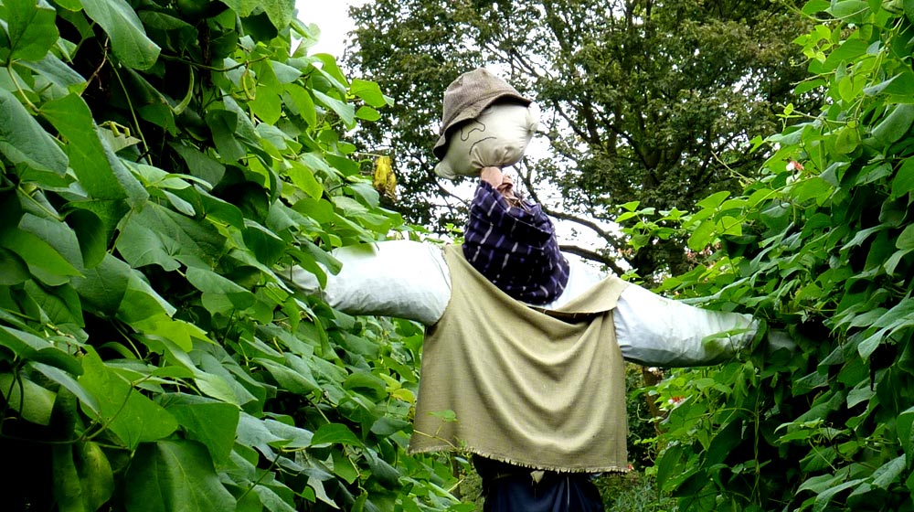 Scarecrow #1