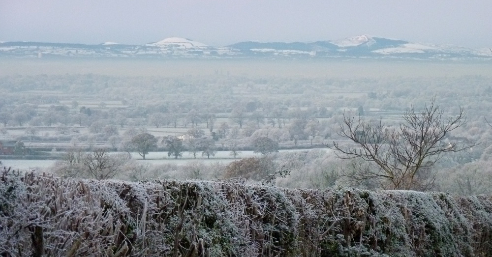 Frosty scene