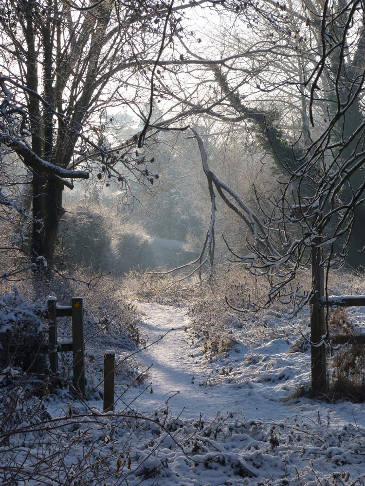 Snowy path