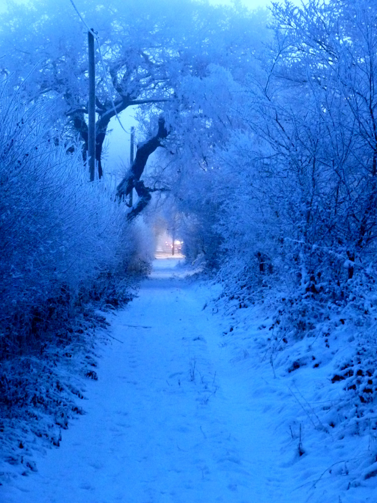 Snowy path