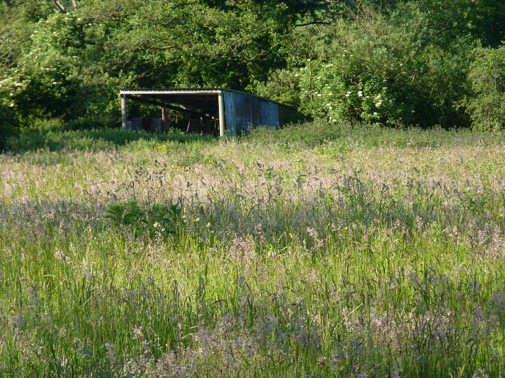 Barn, near Kelsall