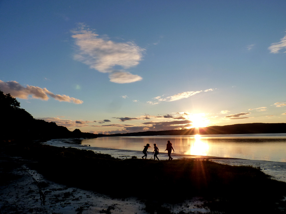 Playing in the sunset