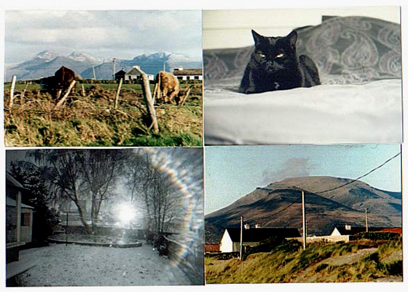 Ireland montage