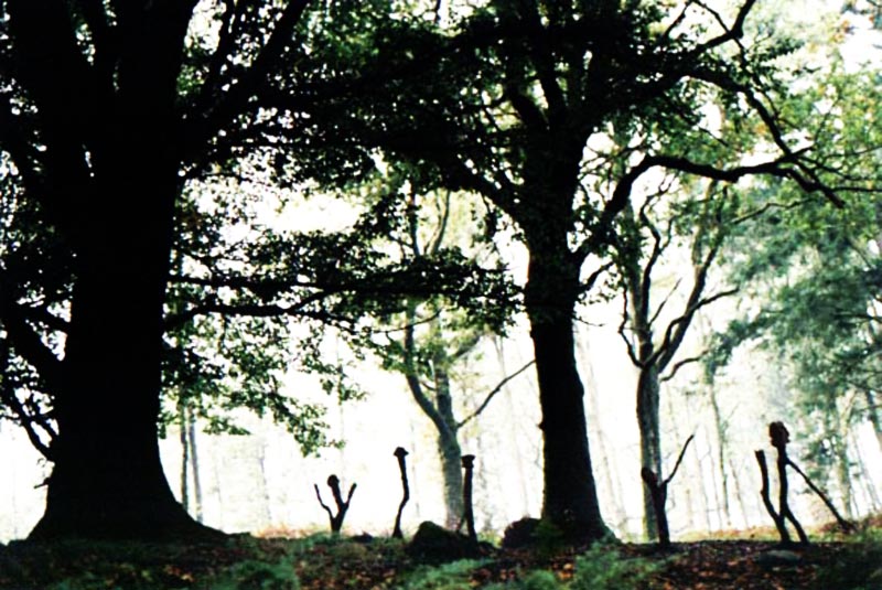 Tree people