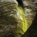 Select: A green stream