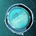 Select: Tax disc