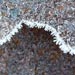 Select: Frosty metal
