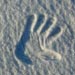 Snow hand print