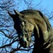 Viscount Combermere's statue in Chester