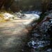 Select: Snowy lane