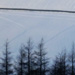 Snowy fields