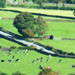 Select: Hilly view
