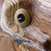 Horse's Head
