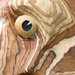 Select: 2010-10-02-020