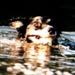 Swimming dog